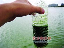 水中的懸浮物